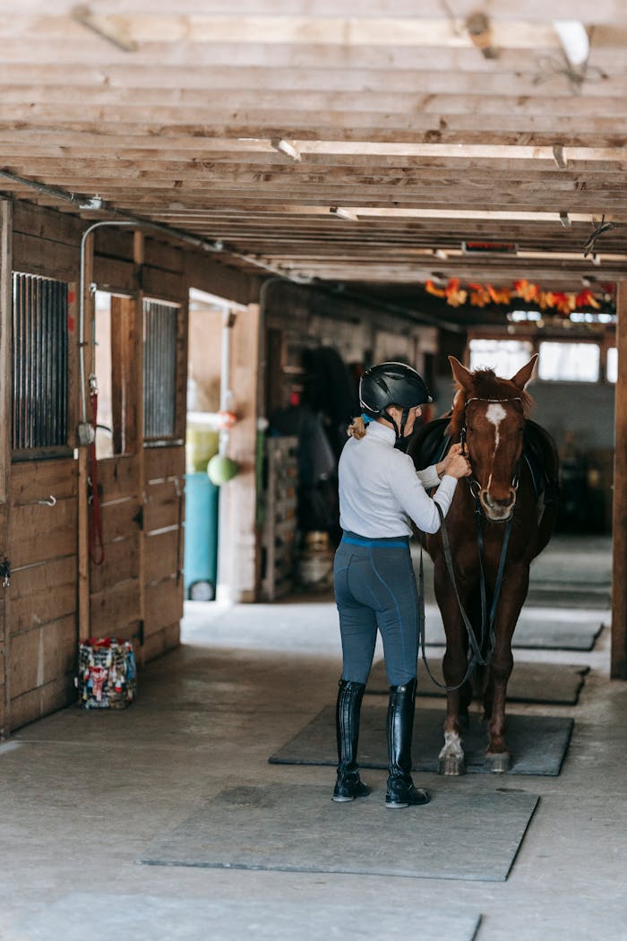 Equestrian woman holding a horse in a rustic wooden stable setting.