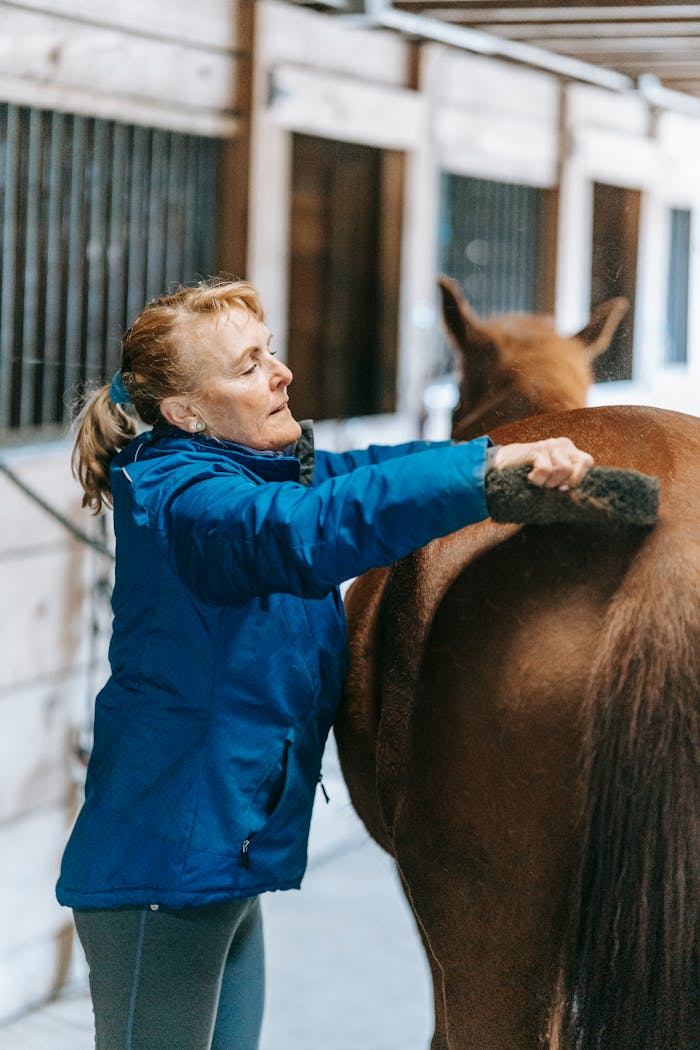 Woman grooming horse in a stable, focusing on equestrian care with a deep blue jacket.
